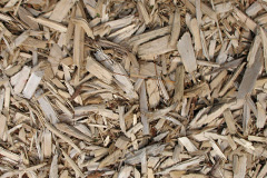 biomass boilers Staplecross