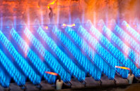 Staplecross gas fired boilers